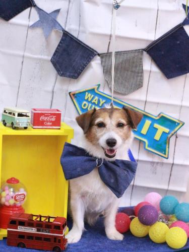 20230405こはるちゃん